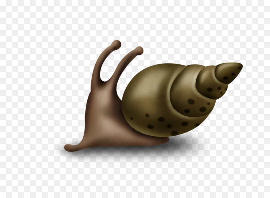 Snail Teapot - Snail png download - 1024*742 - Free Transparent Snail png Download.