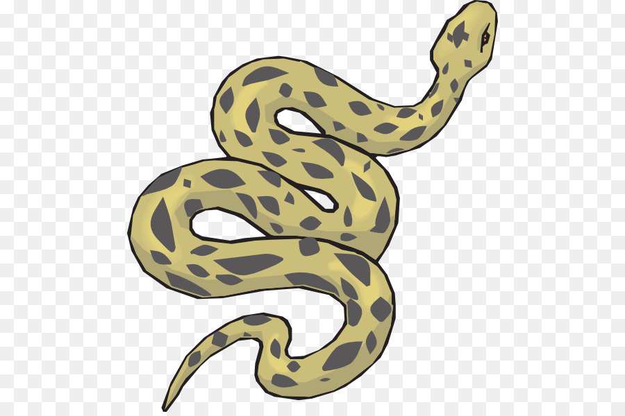 Snake Green anaconda Clip art - Serpent Pictures png download - 534*594 - Free Transparent Snake png Download.