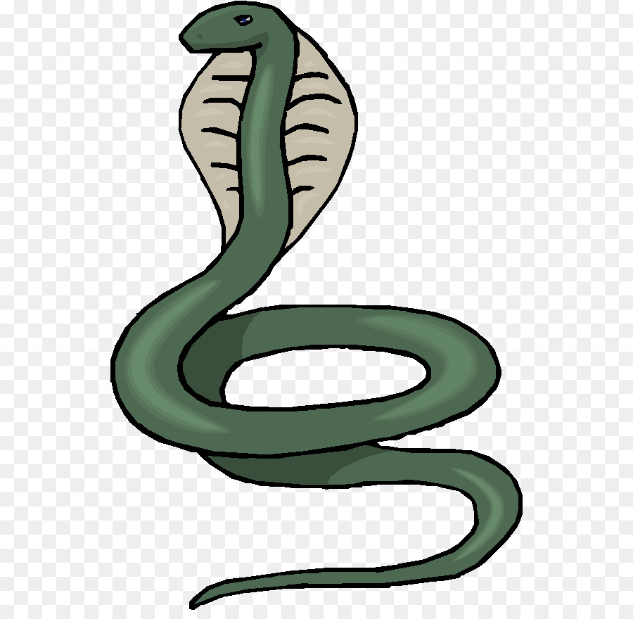 Snake King cobra Clip art - red snake png download - 587*867 - Free Transparent Snake png Download.