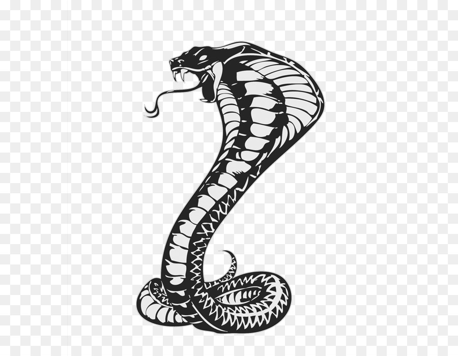 Snakes Drawing King cobra Cobras - tattoo snake png download - 700*700 - Free Transparent Snakes png Download.