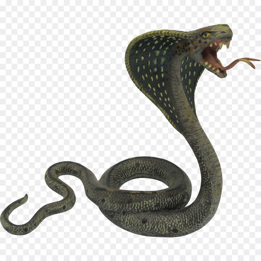 Indian cobra Snake King cobra - Cobra Snake PNG Photos png download - 1679*1679 - Free Transparent Indian Cobra png Download.