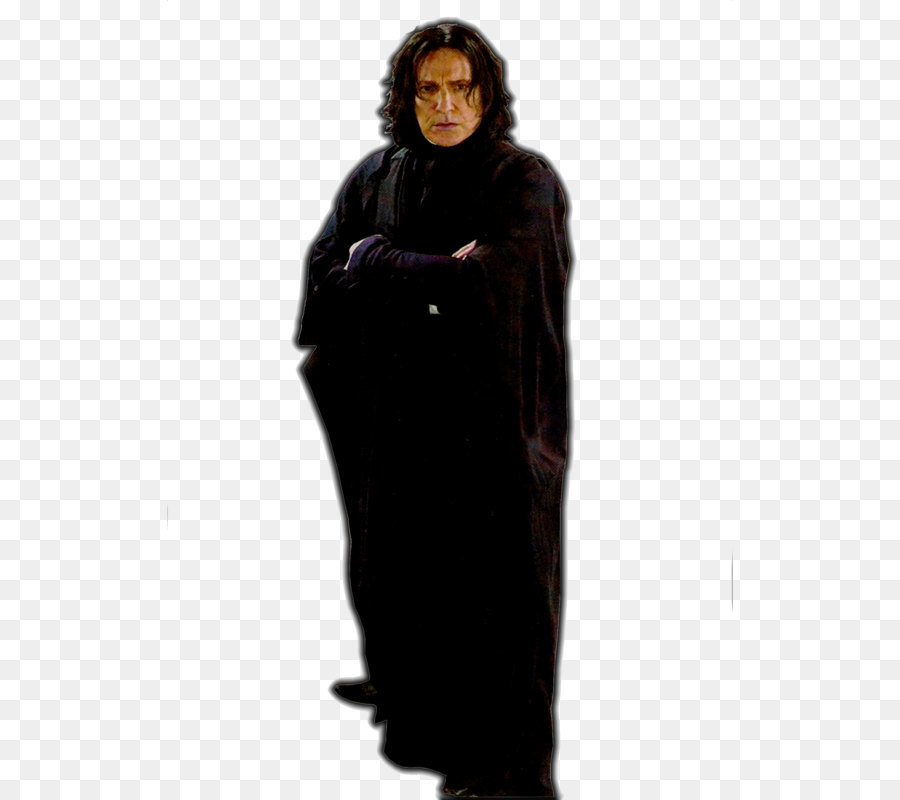 Professor Severus Snape Harry Potter and the Half-Blood Prince Lord Voldemort - Severus Snape Picture png download - 566*800 - Free Transparent Professor Severus Snape png Download.