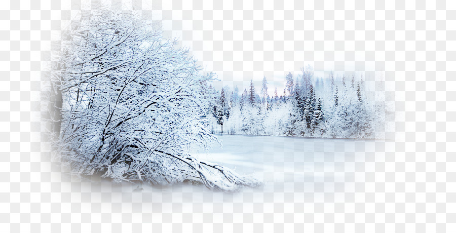 Winter Desktop Wallpaper Photography Snow Clip art - snow scene png download - 776*444 - Free Transparent Winter png Download.