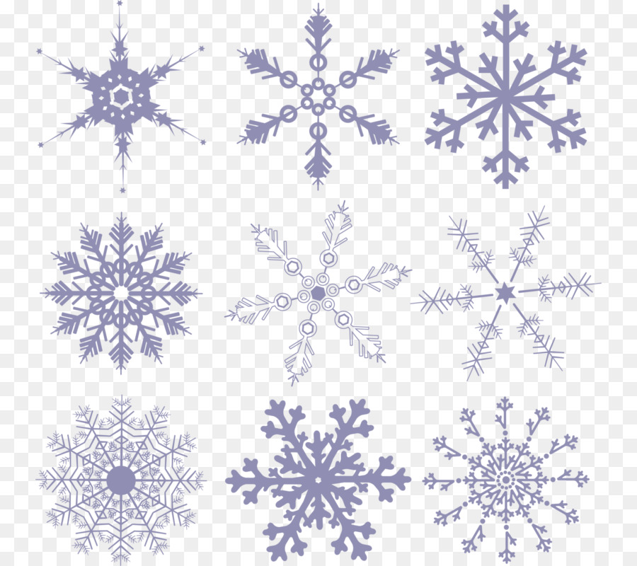 Flower Shutterstock Stock illustration Floral design - Beautiful snow falling portfolio png download - 800*800 - Free Transparent Flower png Download.