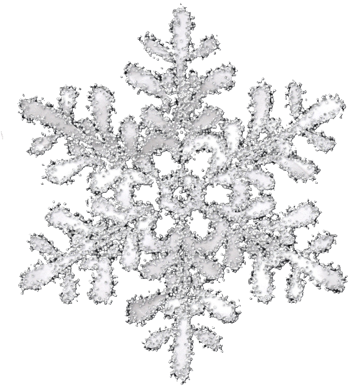 Snowflake Transparency And Translucency Icon White Transparent