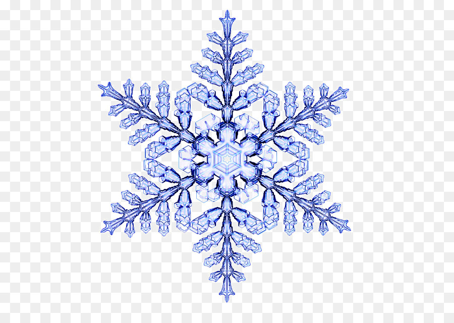 Snowflake Physicist Desktop Wallpaper - Euclidean vector Pattern png download - 620*622 - Free Transparent Snowflake png Download.