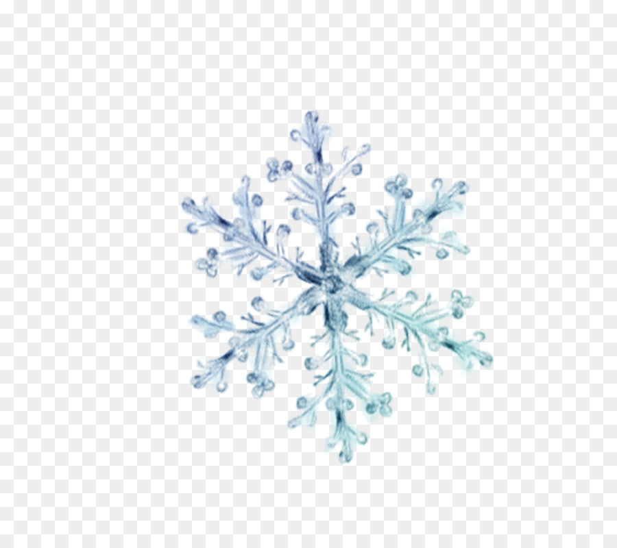 Snowflake Crystal - snowflake png download - 800*800 - Free Transparent Snowflake png Download.