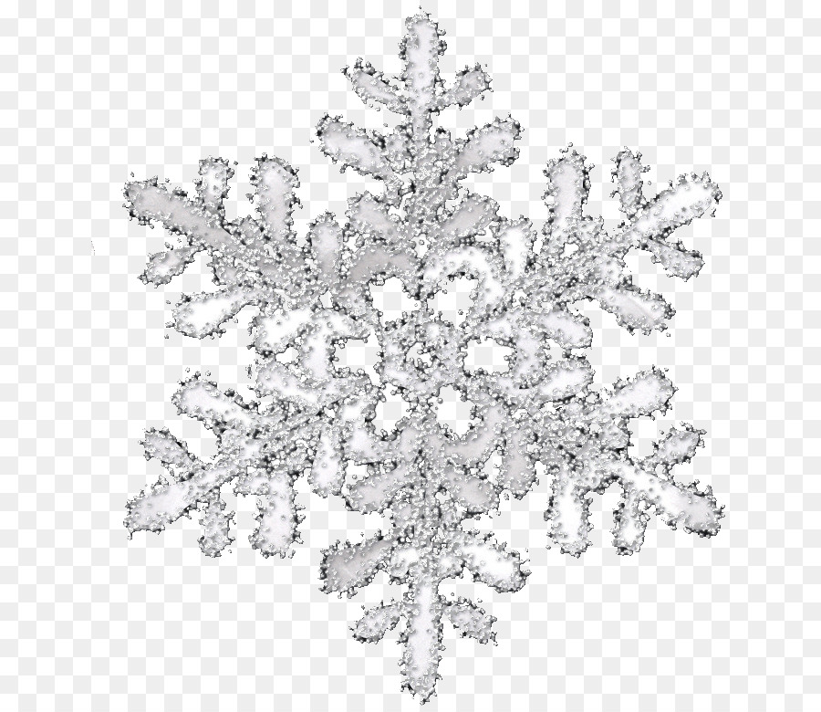 Snowflake Transparency and translucency Icon - White transparent snowflake pattern png download - 704*779 - Free Transparent Snowflake png Download.
