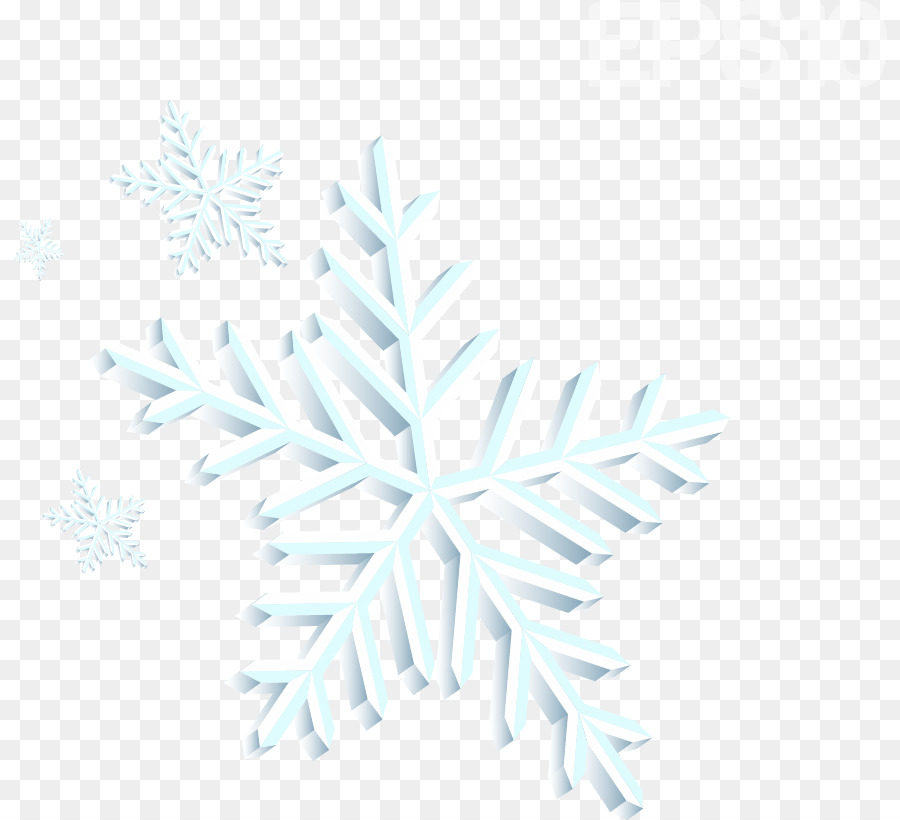 Snowflake Euclidean vector Download - Vector Snowflakes png download - 874*820 - Free Transparent Snowflake png Download.
