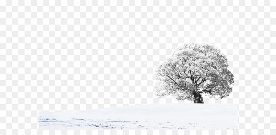 Snow Landscape - Snow landscape design png download - 3000*1950 - Free Transparent Black And White png Download.