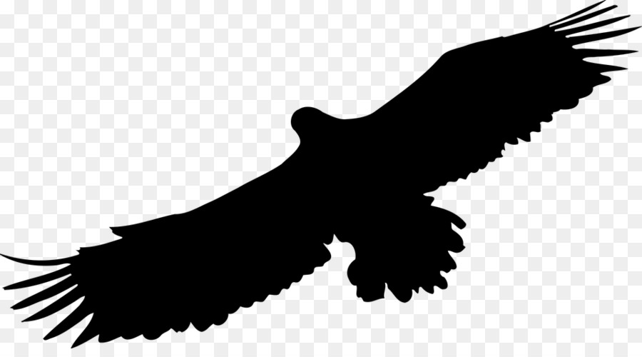 Bald Eagle Clip art - eagle png download - 960*520 - Free Transparent Bald Eagle png Download.