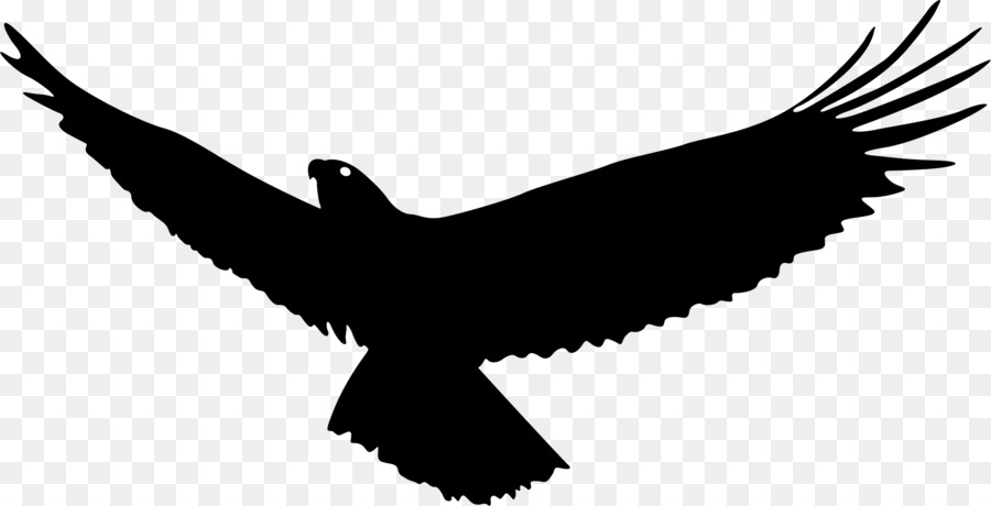 Bald Eagle Bird Flight - Eagle wings png download - 2221*1135 - Free Transparent Bald Eagle png Download.