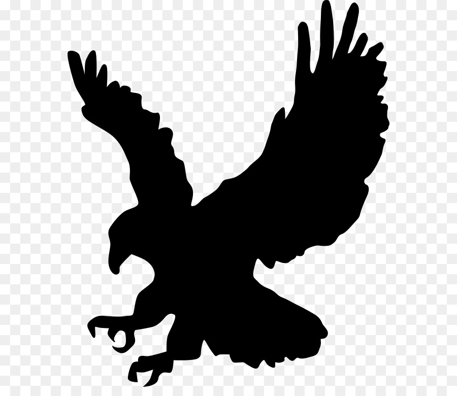 Bald Eagle Silhouette - Silhouette png download - 634*762 - Free Transparent Bald Eagle png Download.