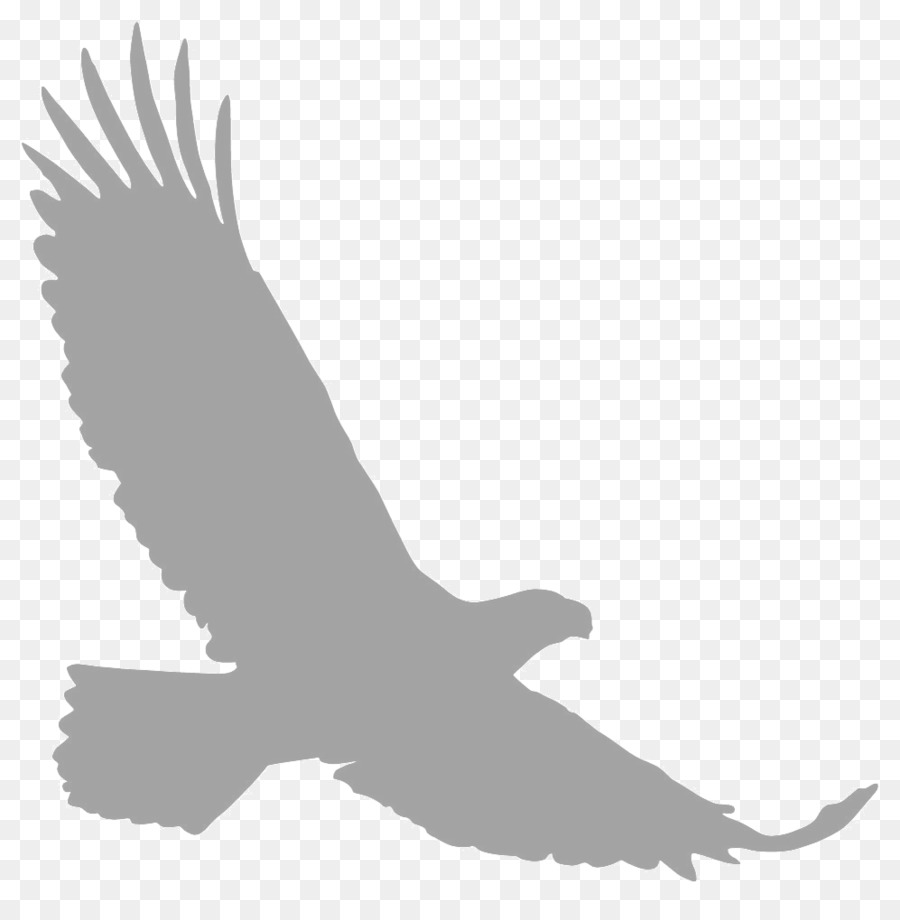 Bald Eagle Silhouette Clip art - eagle png download - 997*1000 - Free Transparent Bald Eagle png Download.