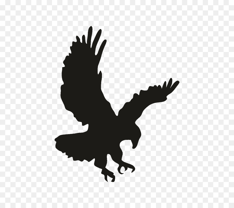 Bald Eagle Drawing Clip art - eagle png download - 800*800 - Free Transparent Bald Eagle png Download.