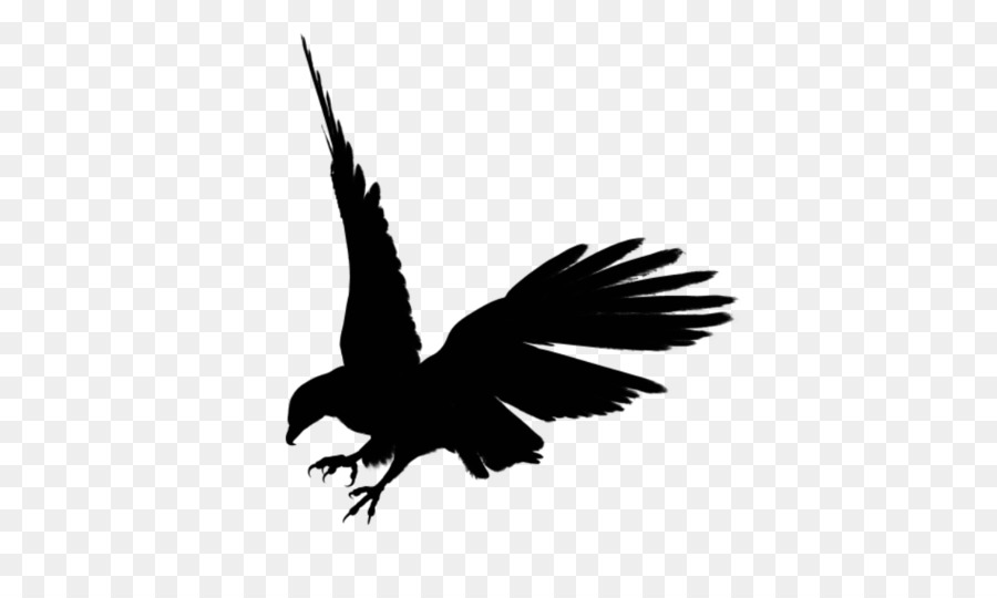 Bald Eagle Silhouette Clip art - eagle png download - 600*534 - Free Transparent Bald Eagle png Download.