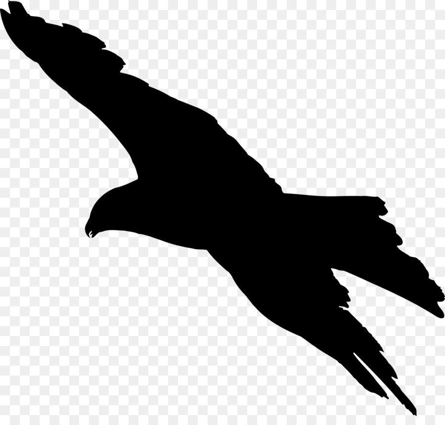 Bald Eagle Bird Silhouette Clip art - vector kite png download - 2400*2246 - Free Transparent Bald Eagle png Download.