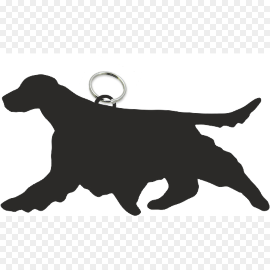 Labrador Retriever Puppy Dog breed Dachshund Beagle - Springer Spaniel png download - 1000*1000 - Free Transparent Labrador Retriever png Download.