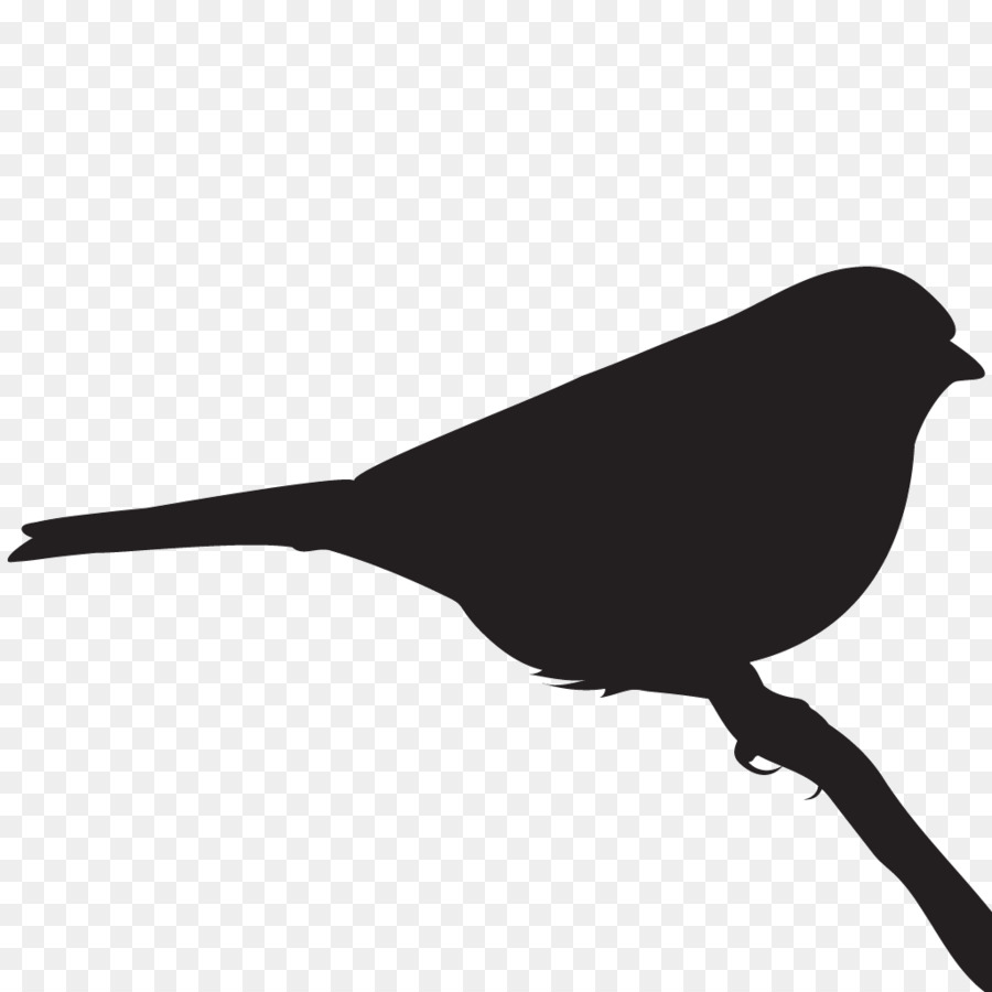 Bird Black and white Monochrome photography Beak - sparrow png download - 1024*1024 - Free Transparent Bird png Download.