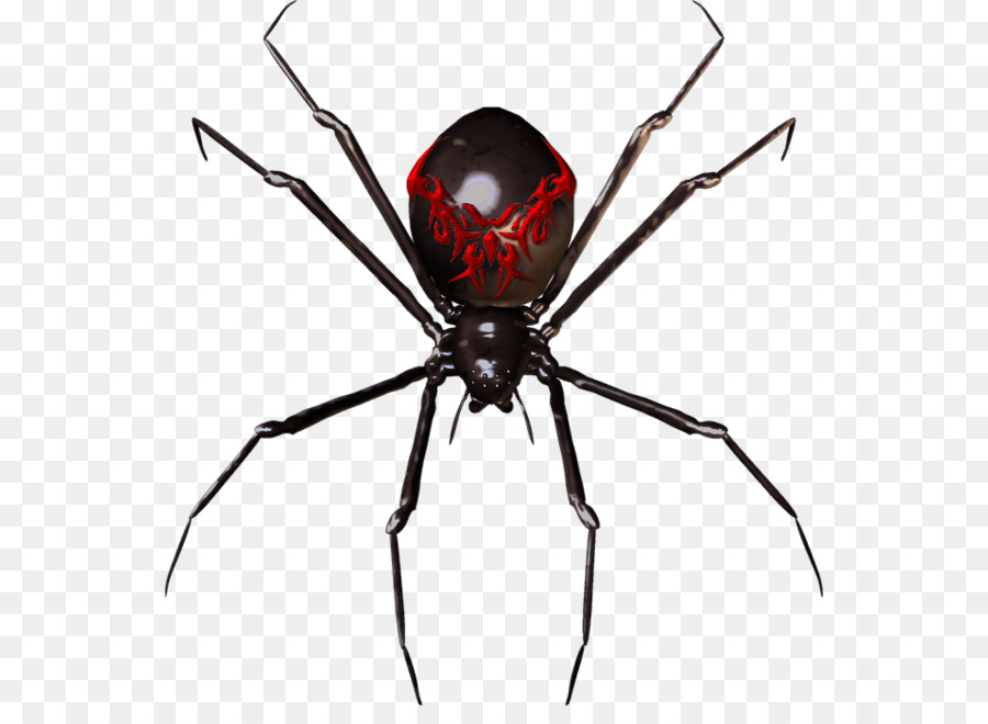 Spider Widget Clip art - spider clipart png download - 600*644 - Free Transparent Spider png Download.