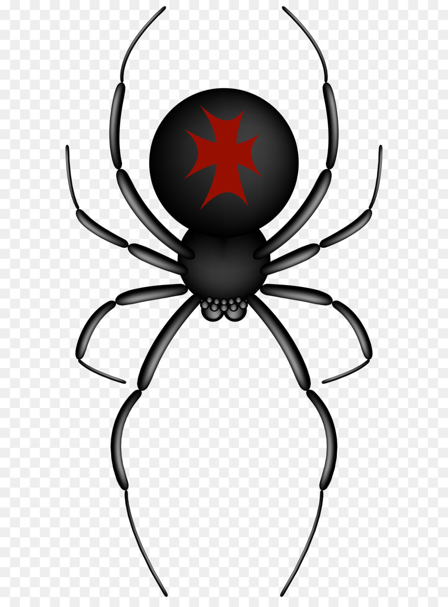 Spider-Man Clip art - Crusader Spider Transparent PNG Clip Art Image png download - 4292*8000 - Free Transparent Spider png Download.