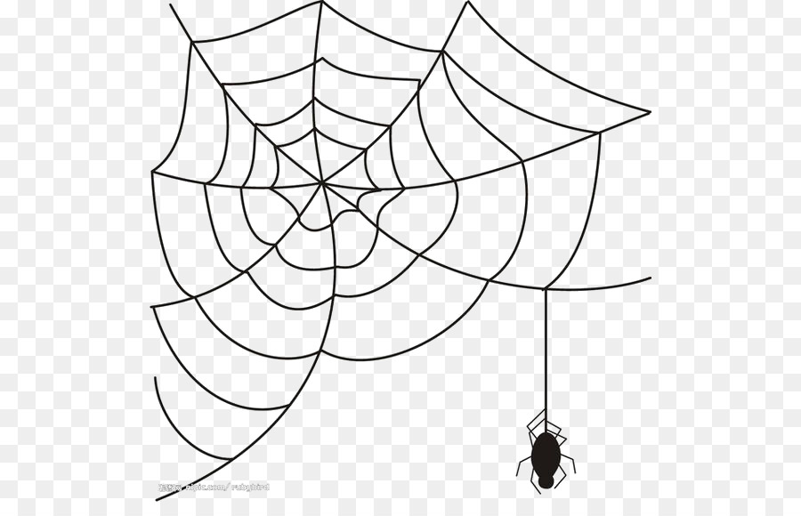 Spider web Clip art - spider png download - 564*564 - Free Transparent Spider png Download.