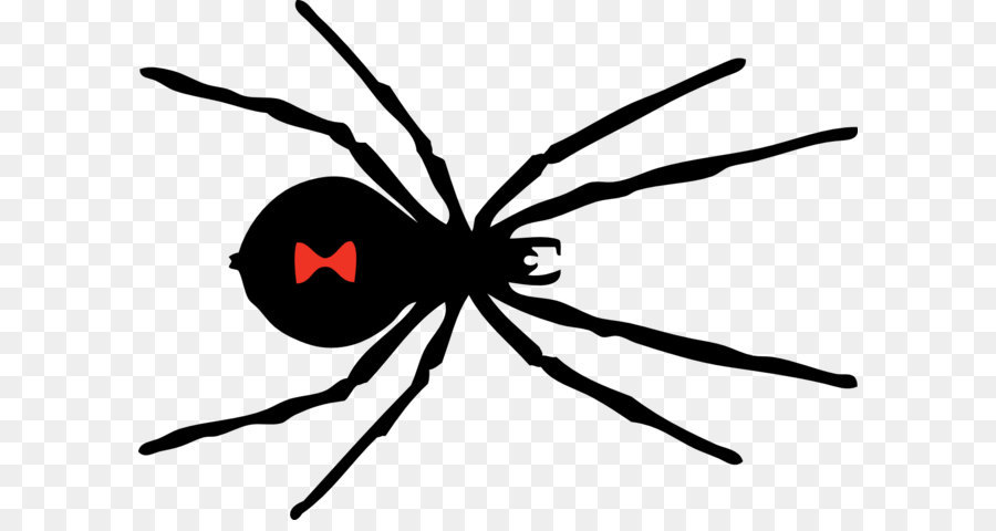 Southern black widow Spider Clip art - Spider PNG image png download - 1331*963 - Free Transparent Black Widow png Download.