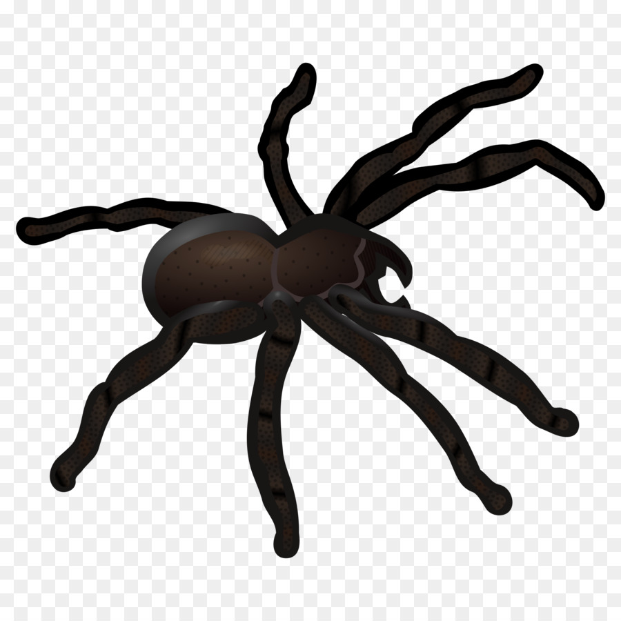 Spider web Clip art - spider png download - 2400*2400 - Free Transparent Spider png Download.