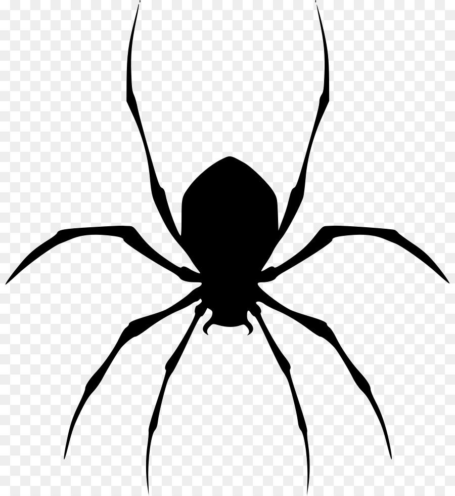 Black house spider Clip art - spider png download - 880*980 - Free Transparent Spider png Download.