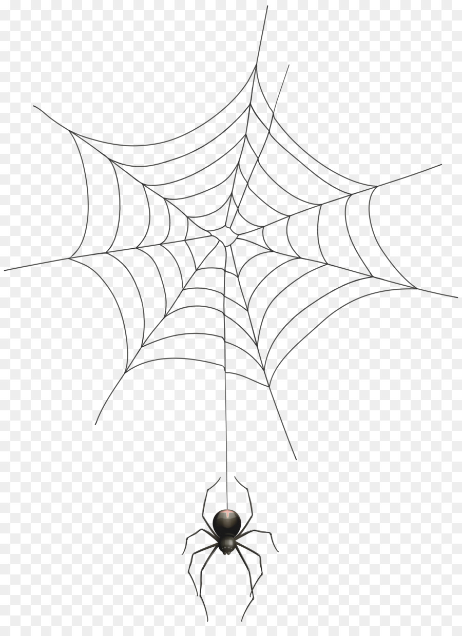 Spider web Clip art - Transparent Spider Cliparts png download - 5888*8000 - Free Transparent Spider png Download.