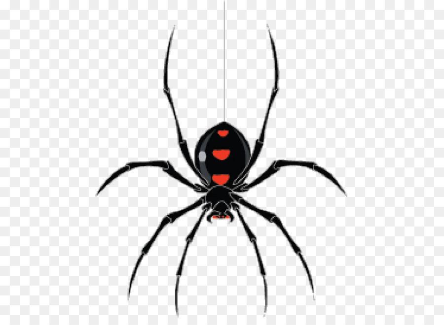 Spider Clip art - spider png download - 518*648 - Free Transparent Spider png Download.
