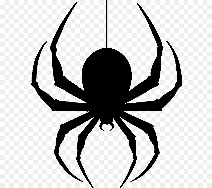 Spider Clip art - Hanging Spider PNG Transparent Image png download - 800*800 - Free Transparent Spider png Download.