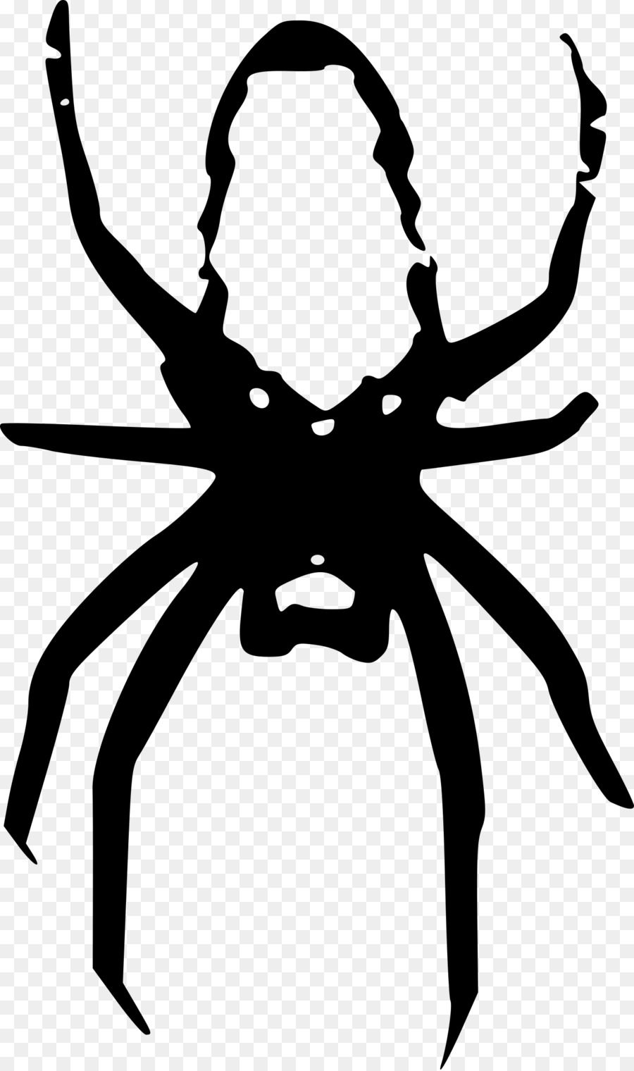 Spider web Clip art - spider png download - 1423*2400 - Free Transparent Spider png Download.