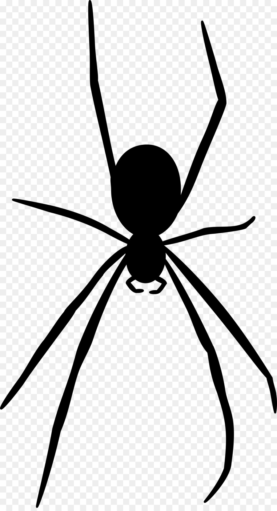 Spider web Silhouette Clip art - spider web png download - 1309*2400 - Free Transparent Spider png Download.