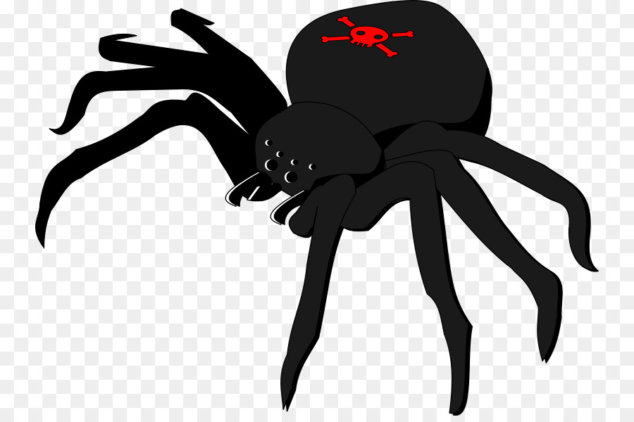 Widow spiders Skull and crossbones Clip art - Crossbones Cliparts png download - 800*591 - Free Transparent Spider png Download.