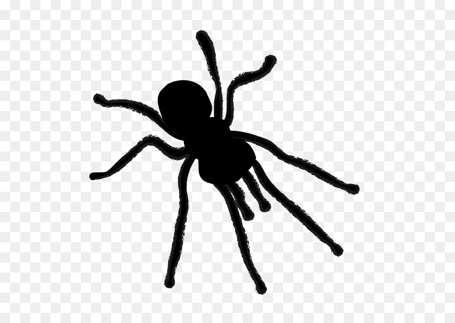 Spider Silhouette Clip art - animal illustration png download - 640*640 - Free Transparent Spider png Download.