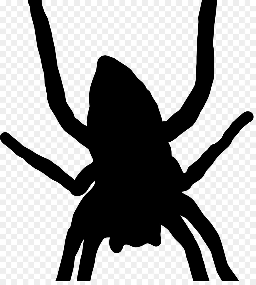 Spider web Silhouette Arthropod Clip art - spider png download - 2188*2400 - Free Transparent Spider png Download.