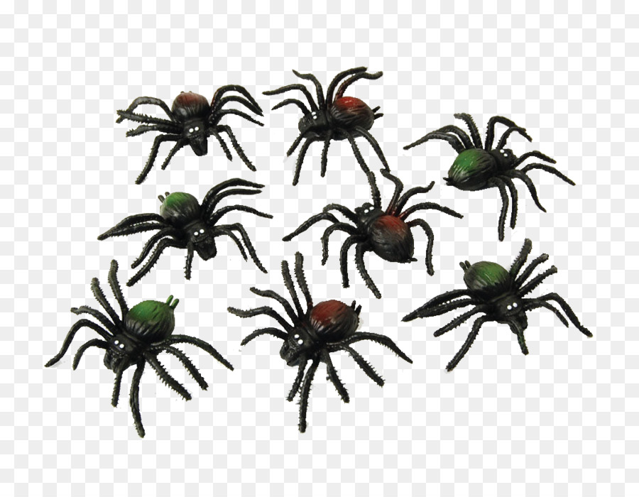 Spider web Costume party Halloween - ants png download - 1056*800 - Free Transparent Spider png Download.