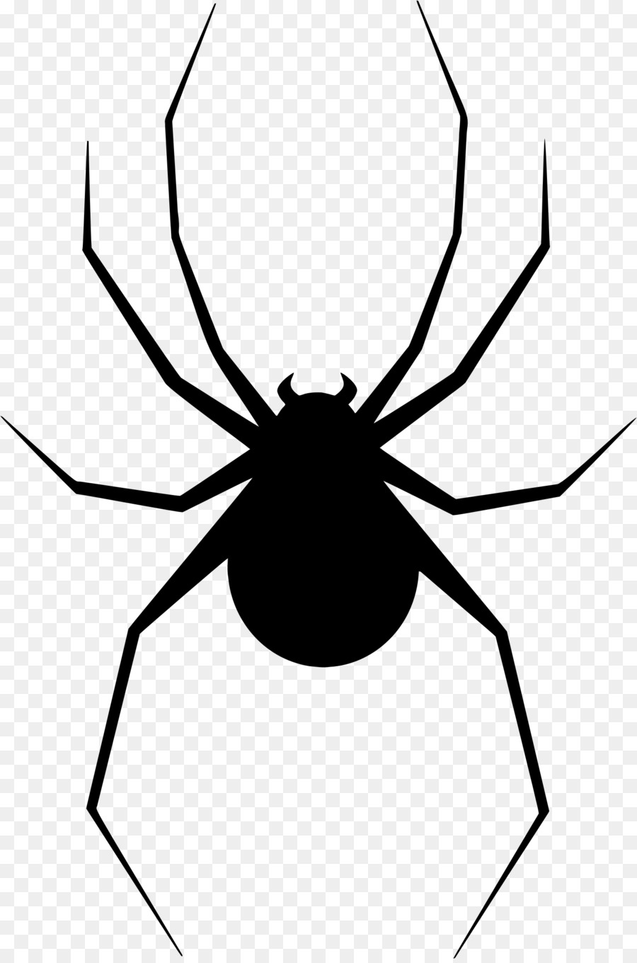 Spider web Clip art - scars png download - 1508*2268 - Free Transparent Spider png Download.
