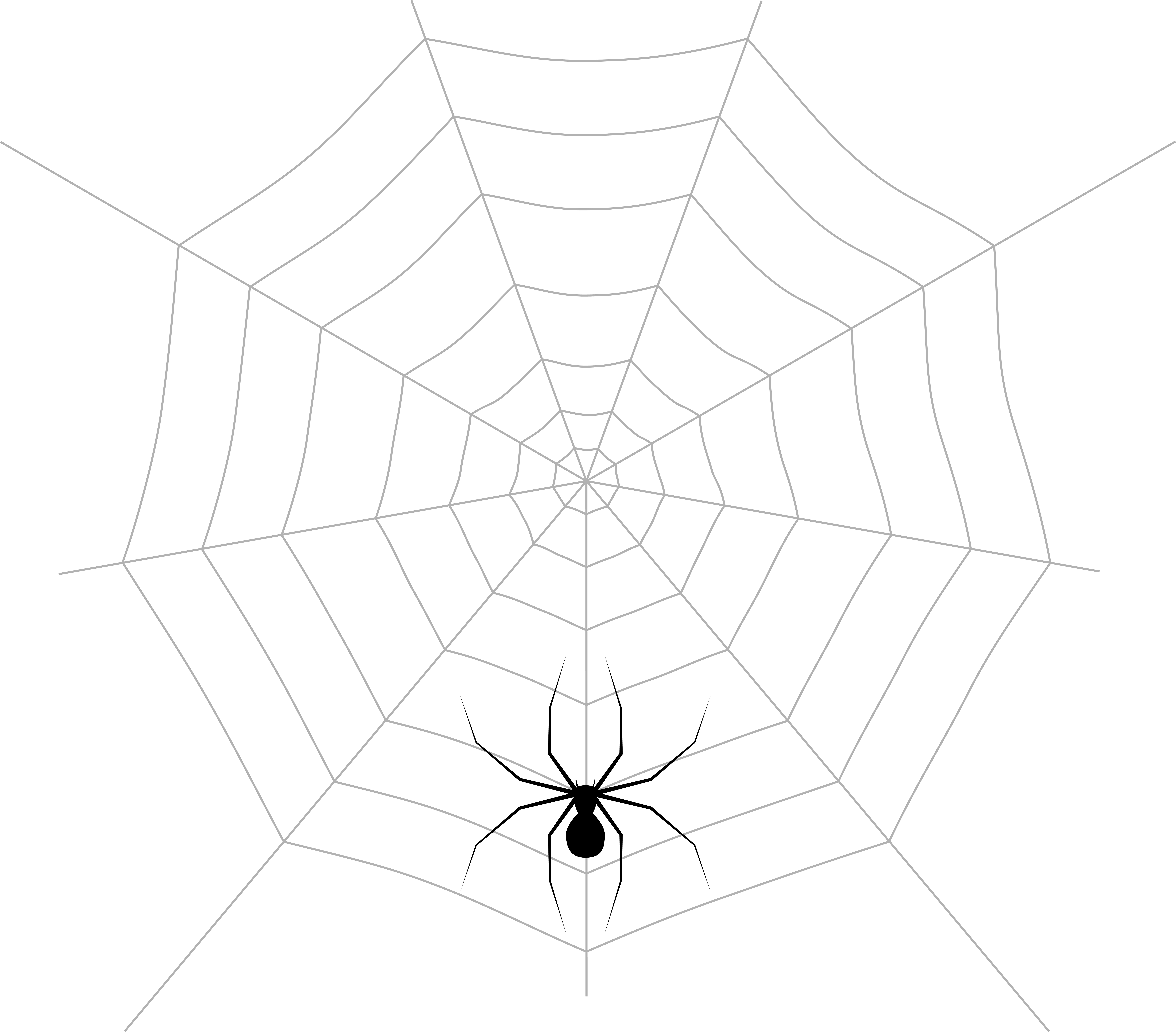 Spider Web Pattern Symmetry Point Angle - Again Graphic Png Download - 8000*7022 - Free ...