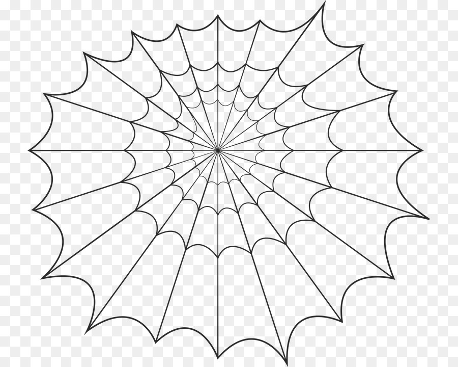 Spider silk Spider web ??????? ???????? Online shopping - spider png download - 791*720 - Free Transparent Spider png Download.