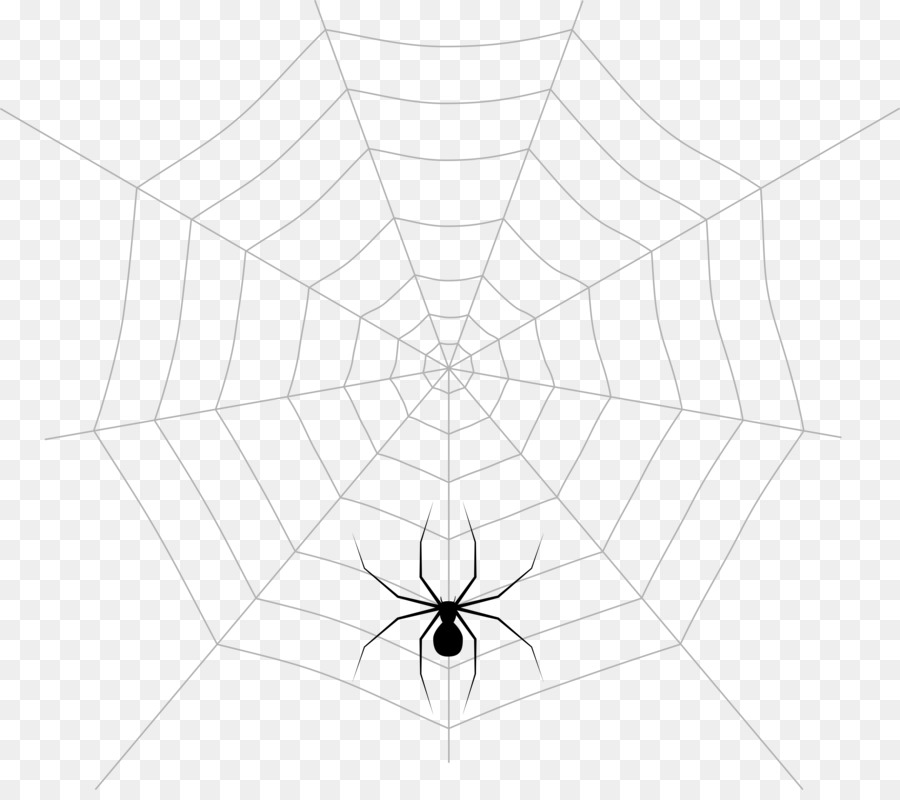 Spider web Pattern Symmetry Point Angle - again graphic png download - 8000*7022 - Free Transparent Spider Web png Download.