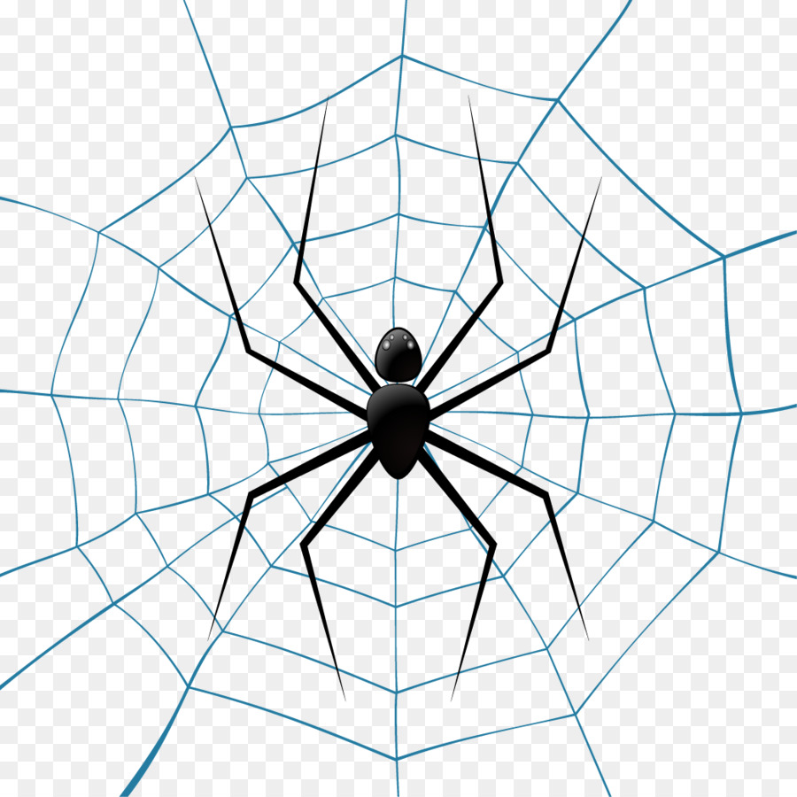 Spider web Theridiidae Euclidean vector Illustration - Vector spider png download - 1042*1042 - Free Transparent Spider png Download.