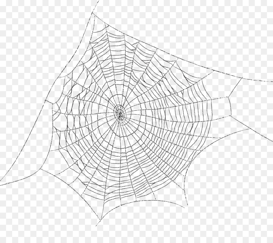 Spider web Web decoration - Spider web spider web pattern cartoon png download - 3600*3144 - Free Transparent Spider png Download.