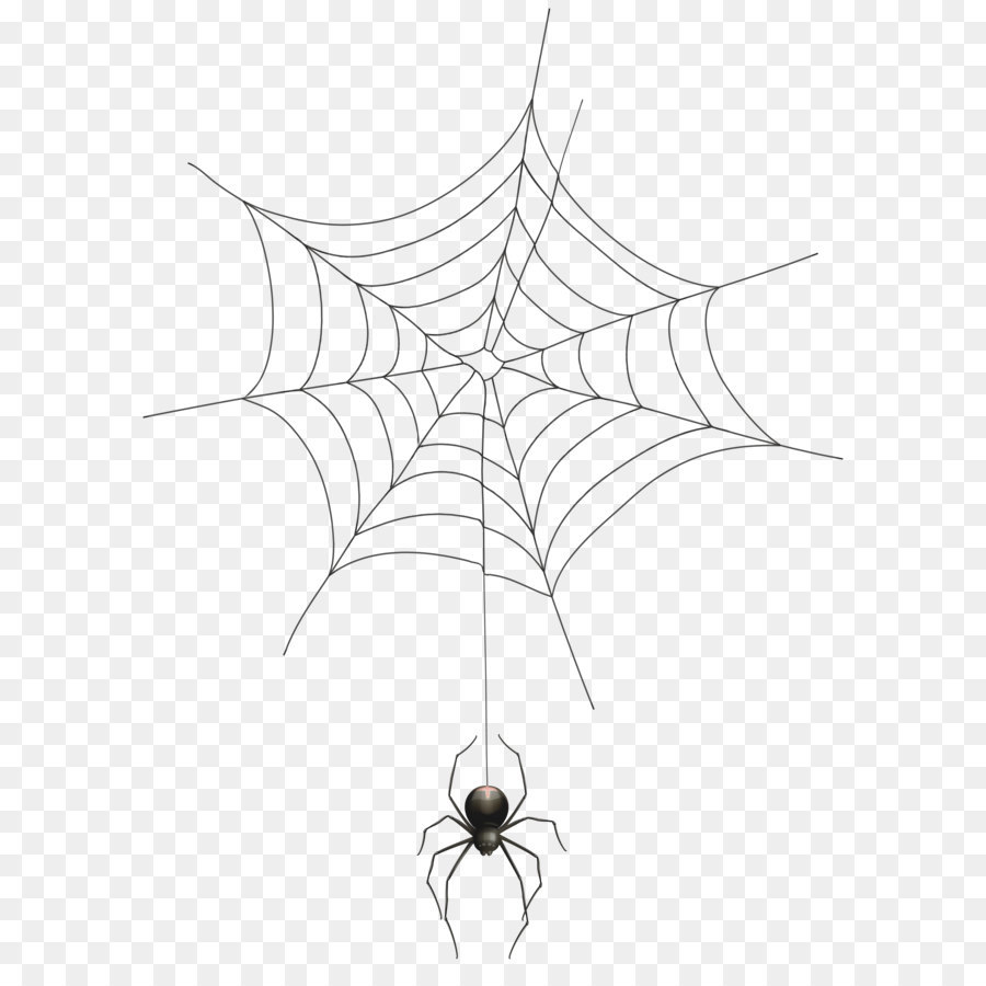 Spider web Clip art - Spider and Web Transparent Clip Art Image png download - 5888*8000 - Free Transparent Spider png Download.