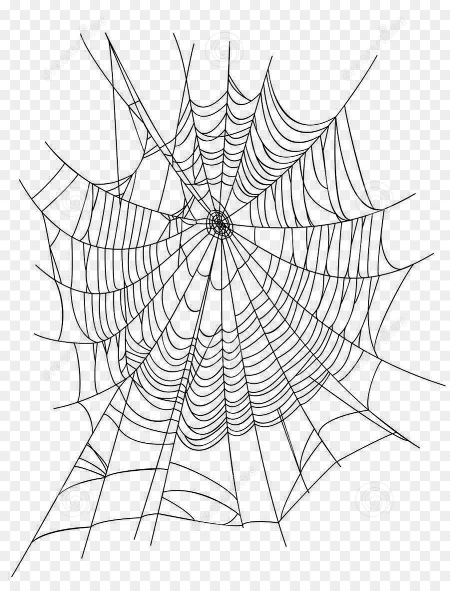 Spider web Euclidean vector Illustration - Creative cartoon spider web spider web icon png download - 901*1180 - Free Transparent Spider png Download.
