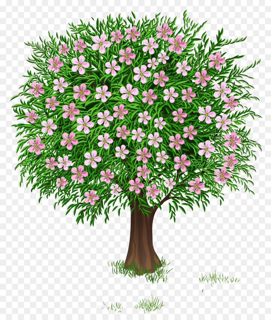 Tree Spring Clip art - Transparent Spring Cliparts png download - 4470*5232 - Free Transparent Tree png Download.