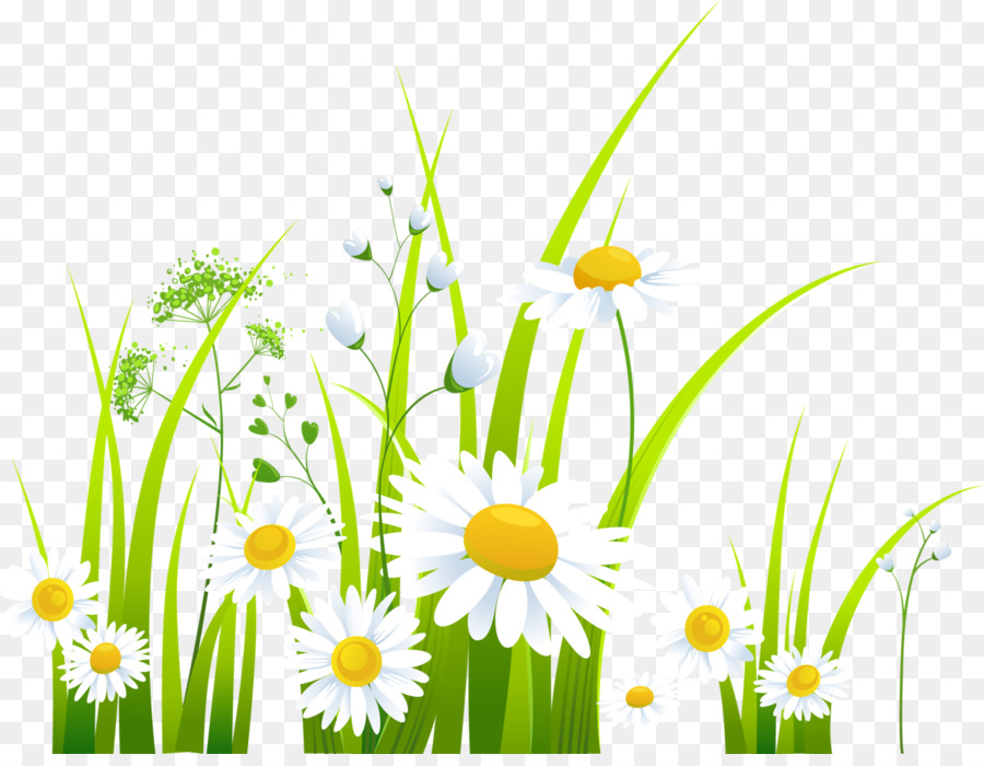 Spring Clip art - chrysanthemum png download - 1280*980 - Free Transparent Spring png Download.