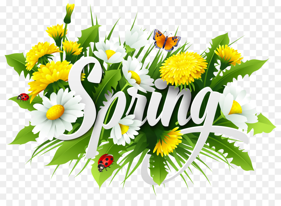 Spring Clip art - others png download - 6127*4358 - Free Transparent Spring png Download.