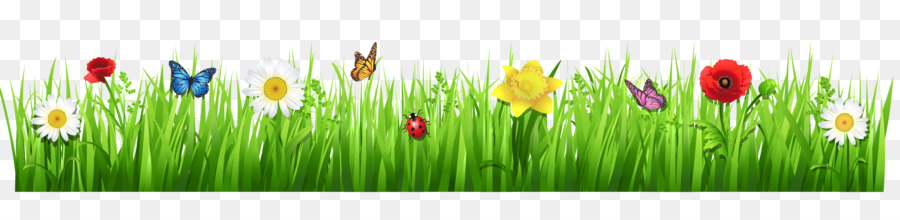 Flower Grasses Clip art - Transparent Spring Cliparts png download - 4335*972 - Free Transparent Flower png Download.